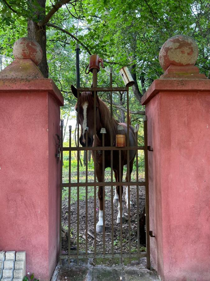 Popice Hideaway Διαμέρισμα Znojmo Εξωτερικό φωτογραφία