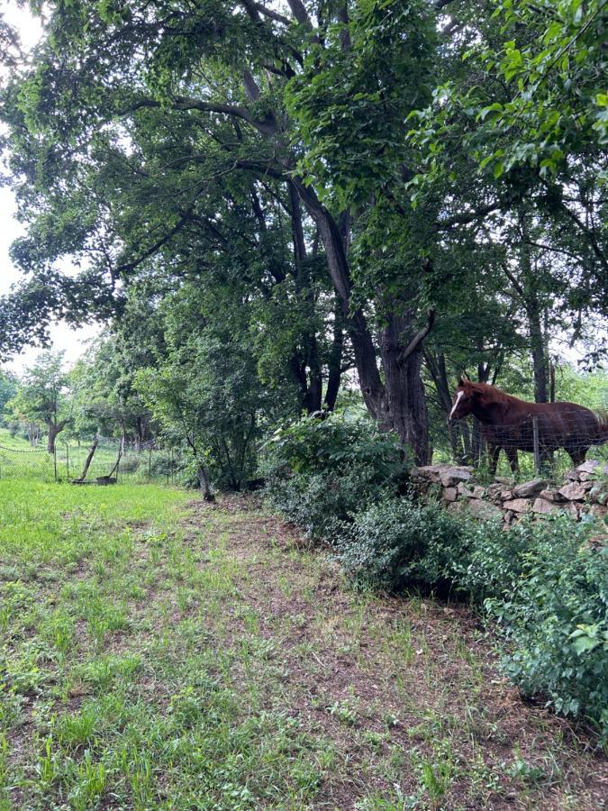 Popice Hideaway Διαμέρισμα Znojmo Εξωτερικό φωτογραφία